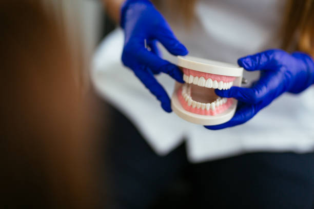 Best General Dentistry  in Roodhouse, IL